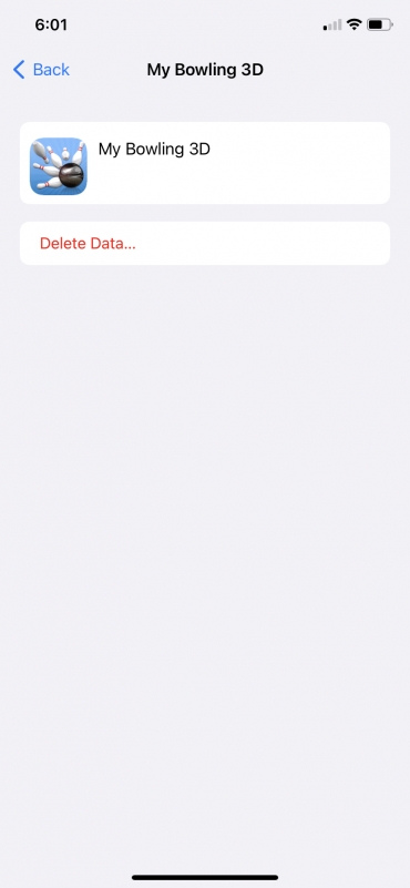 iPhone delete data screen.