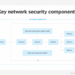 network intrusion protection system (NIPS)